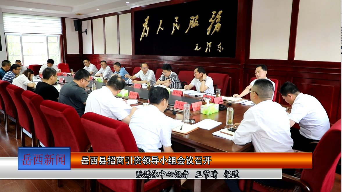 岳西县招商引资领导小组会议召开
