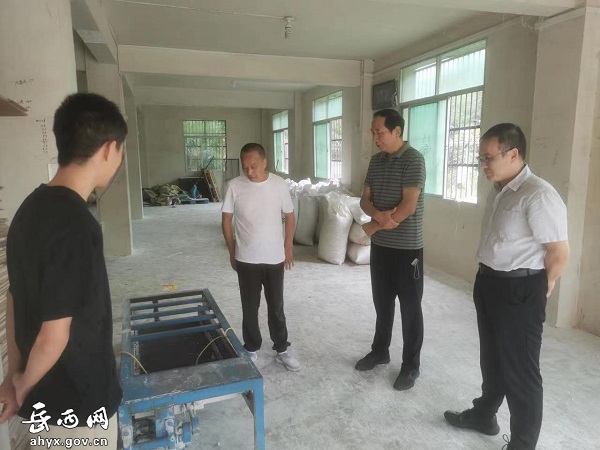 中国通用资讯投资有限公司到和平乡考察茯苓深加工项目